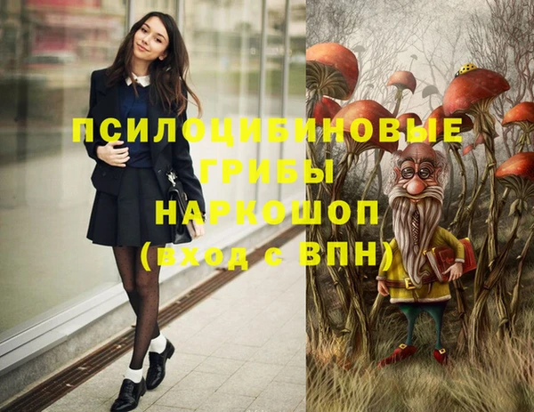 бошки Алапаевск
