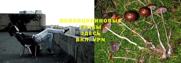 бошки Алапаевск