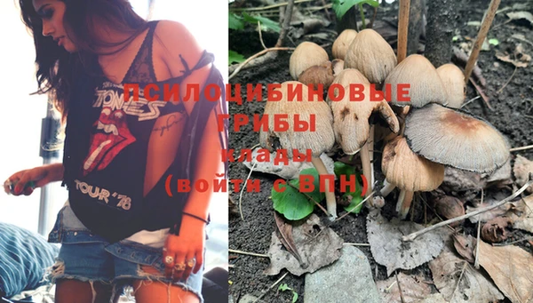 эйфоретик Алагир