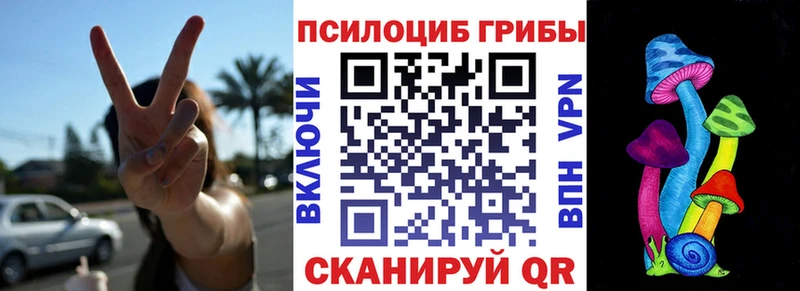 shop формула  Канск  Псилоцибиновые грибы Psilocybine cubensis 