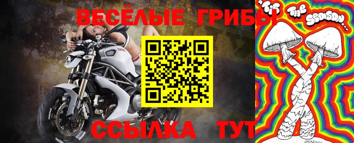 Псилоцибиновые грибы прущие грибы Канск