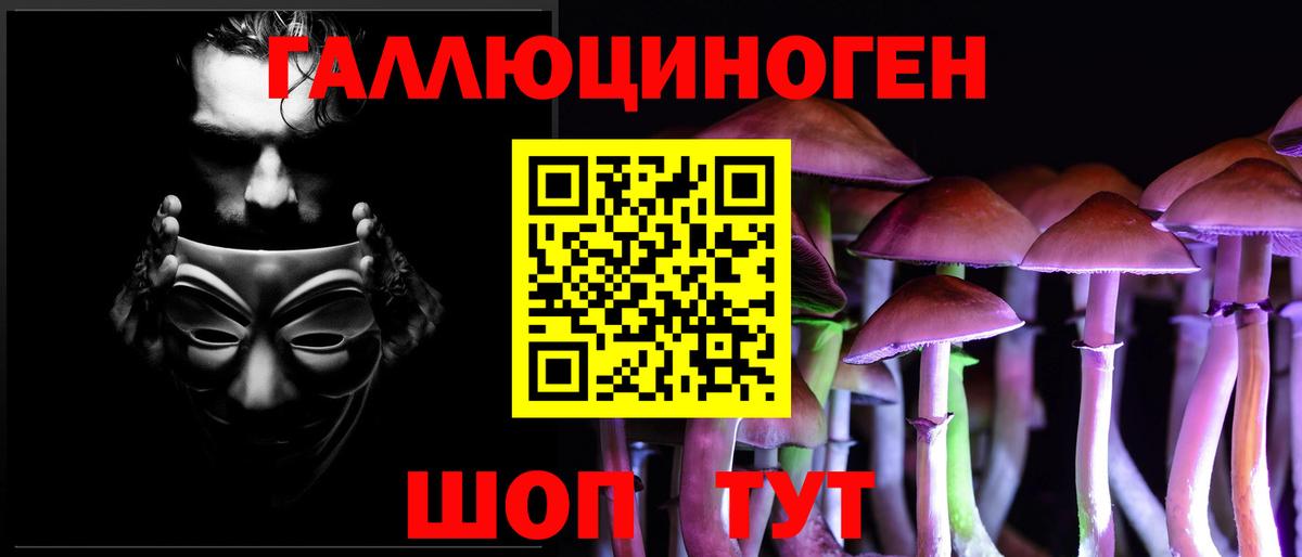 Псилоцибиновые грибы GOLDEN TEACHER Канск